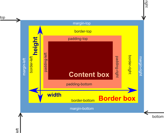 Das Border-Box-Modell
